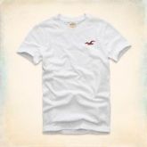 Camisa Masculina Hollister - Básica